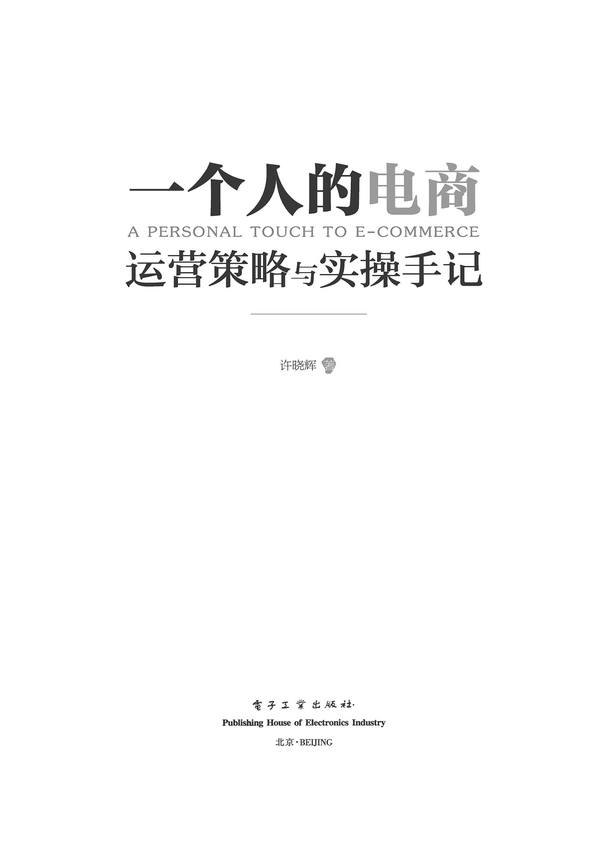 《一个人的电商_运营策略与实操手记》许晓辉 著