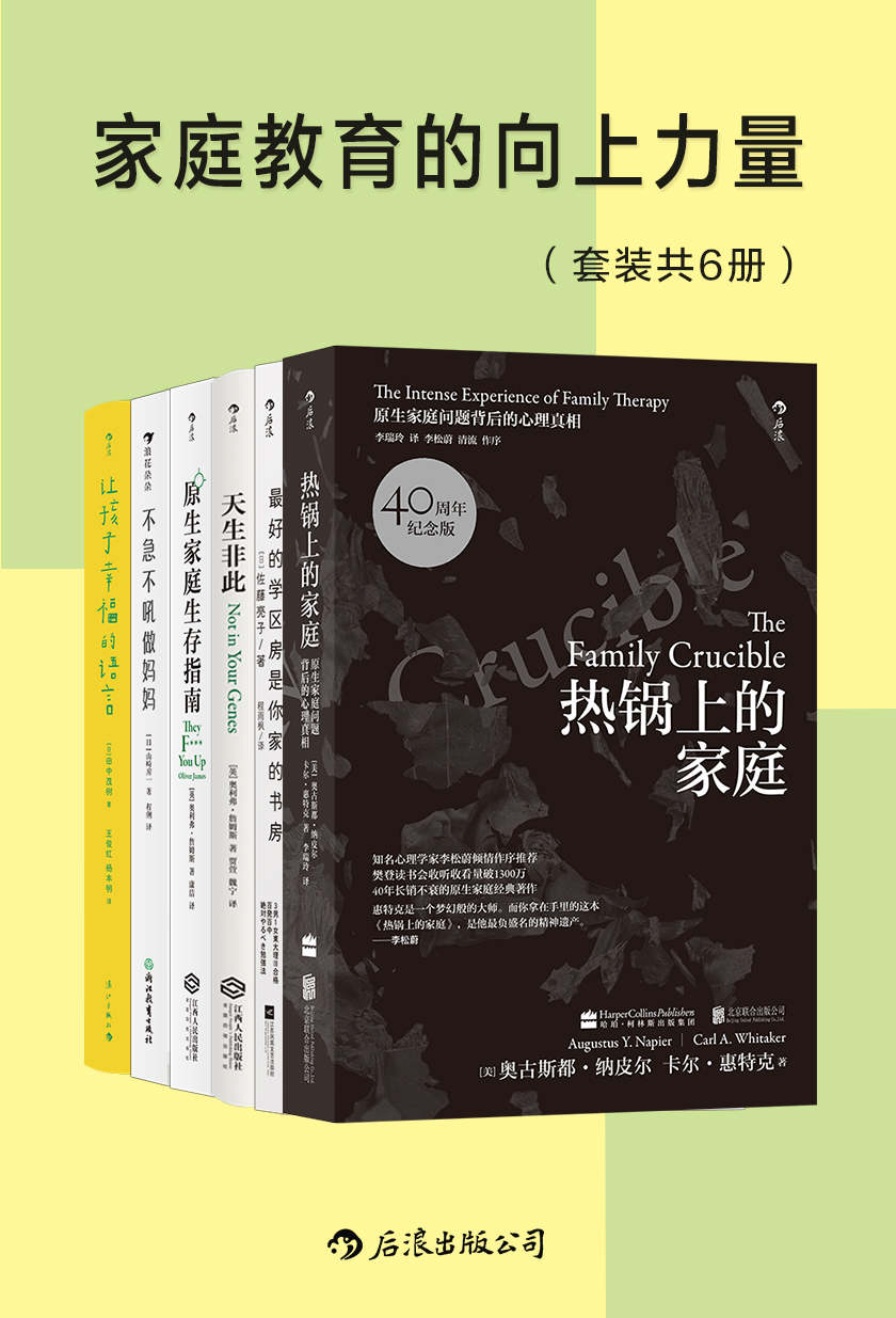 《家庭教育的向上力量（套装共6册）》奥古斯都•纳皮尔 & 卡尔•惠特克 & 佐藤亮子 & 等