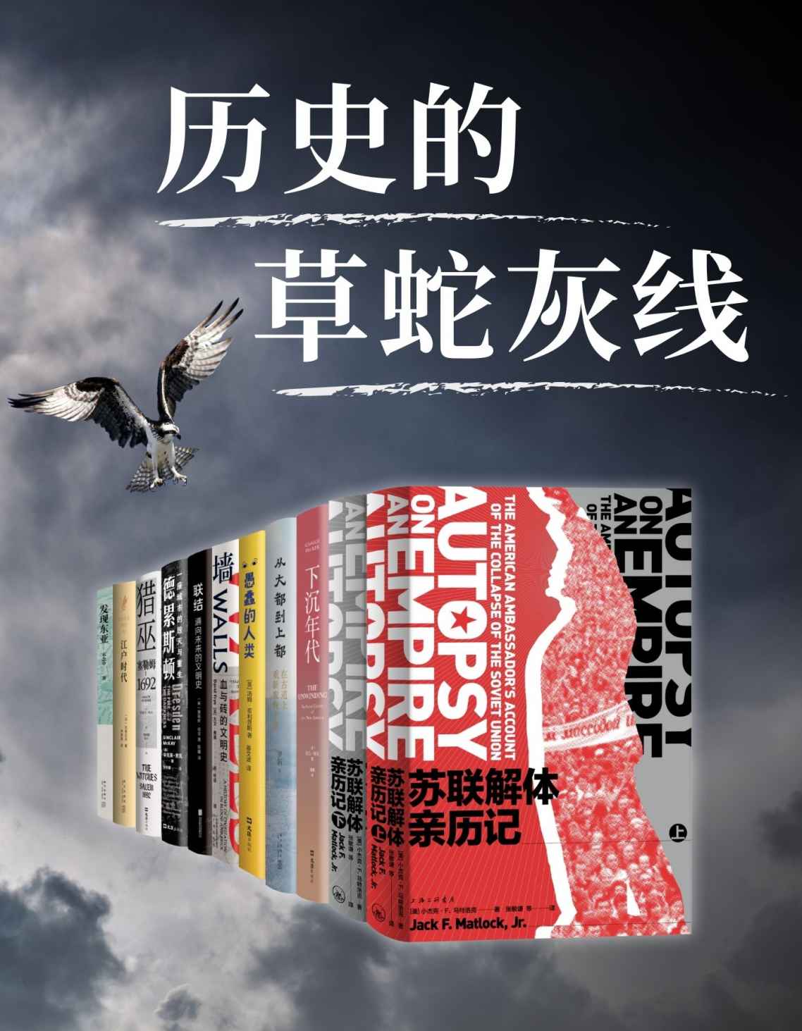 《历史的草蛇灰线：苏联解体亲历记、下沉年代、猎巫等10册》小杰克•F & 乔治•帕克 & 罗新 & 汤姆•菲利普斯 & 大卫•弗莱 & 詹姆斯•伯克 & 辛克莱•麦凯 & 斯泰西•希夫 & 北岛正元 & 宋念申