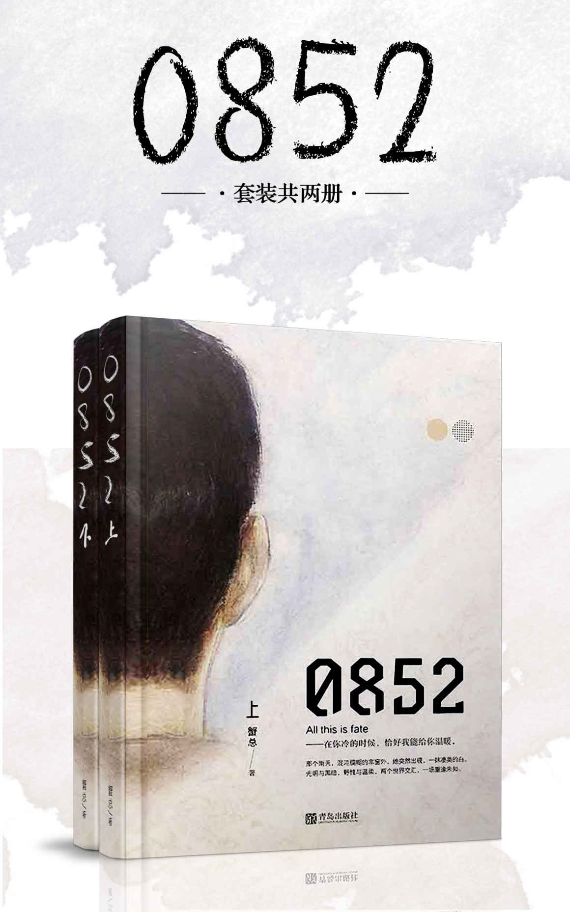 《0852（套装共二册）（人气作家蟹总首部现实向简体作品，颠覆传统爱情印象，引爆全网读者热议）》蟹总