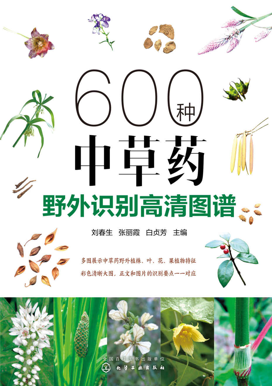 《600种中草药野外识别高清图谱》刘春生 & 张丽霞 & 白贞芳