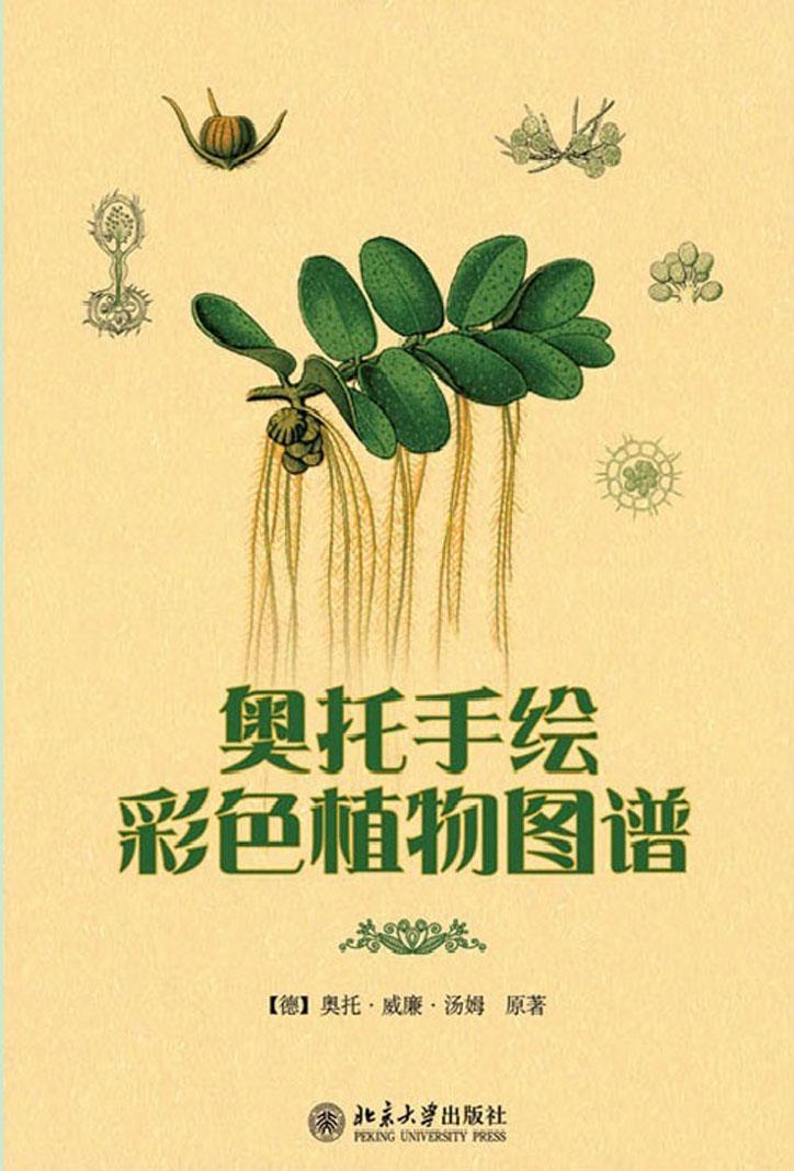 《奥托手绘彩色植物图谱 (韩国学论丛)》汤姆（德）