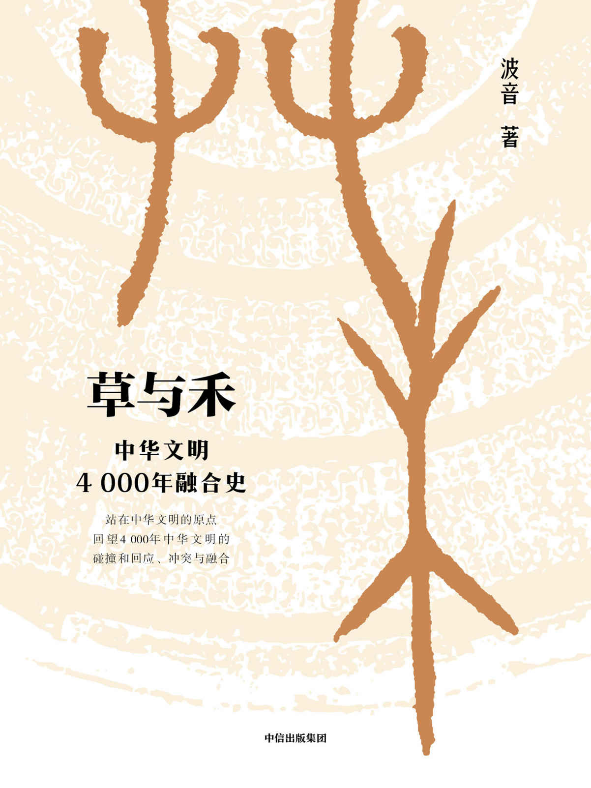 《草与禾：中华文明4000年融合史（从匈奴突厥到唐宋文明，理清多民族交往、融合历史）》波音