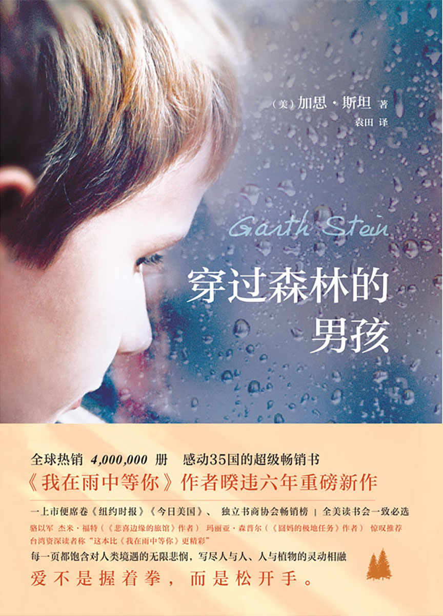 《穿过森林的男孩(《我在雨中等你》作者暌违六年重磅新作！上市便席卷《纽约时报》《今日美国》、独立书商协会等畅销榜)》加思•斯坦