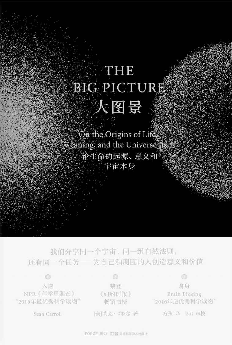 《大图景：论生命的起源、意义和宇宙本身（一场宇宙的奇妙发现之旅，了解宇宙的整体图景，思考宇宙与人的未来。卡洛·罗韦利推荐）》肖恩·卡罗尔