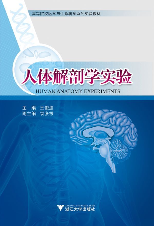 《高等院校医学与生命科学系列实验教材_人体解剖学实验》王俊波