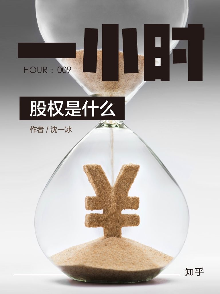 《股权是什么：知乎沈一冰作品 (知乎「一小时」系列)》沈一冰 & 知乎