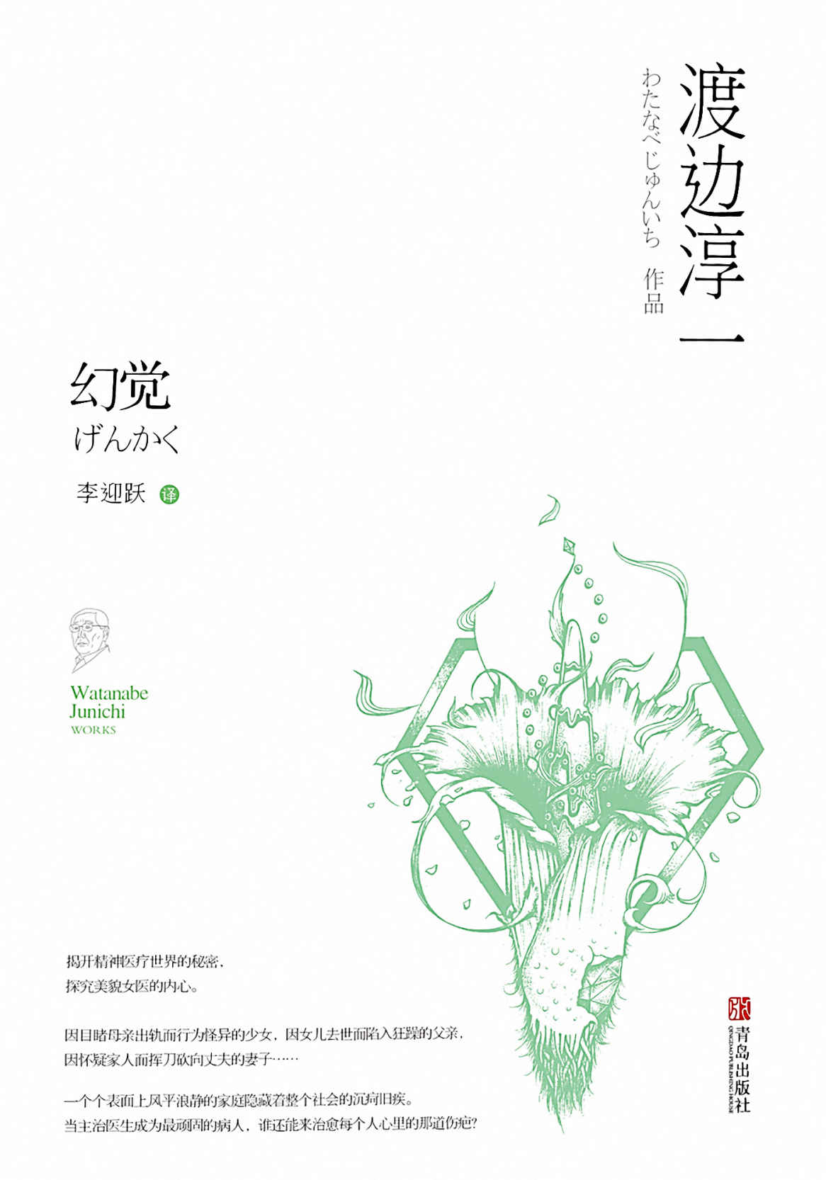 《幻觉（护理师迷恋女院长，揭秘不为人知的医患黑幕。）》渡边淳一