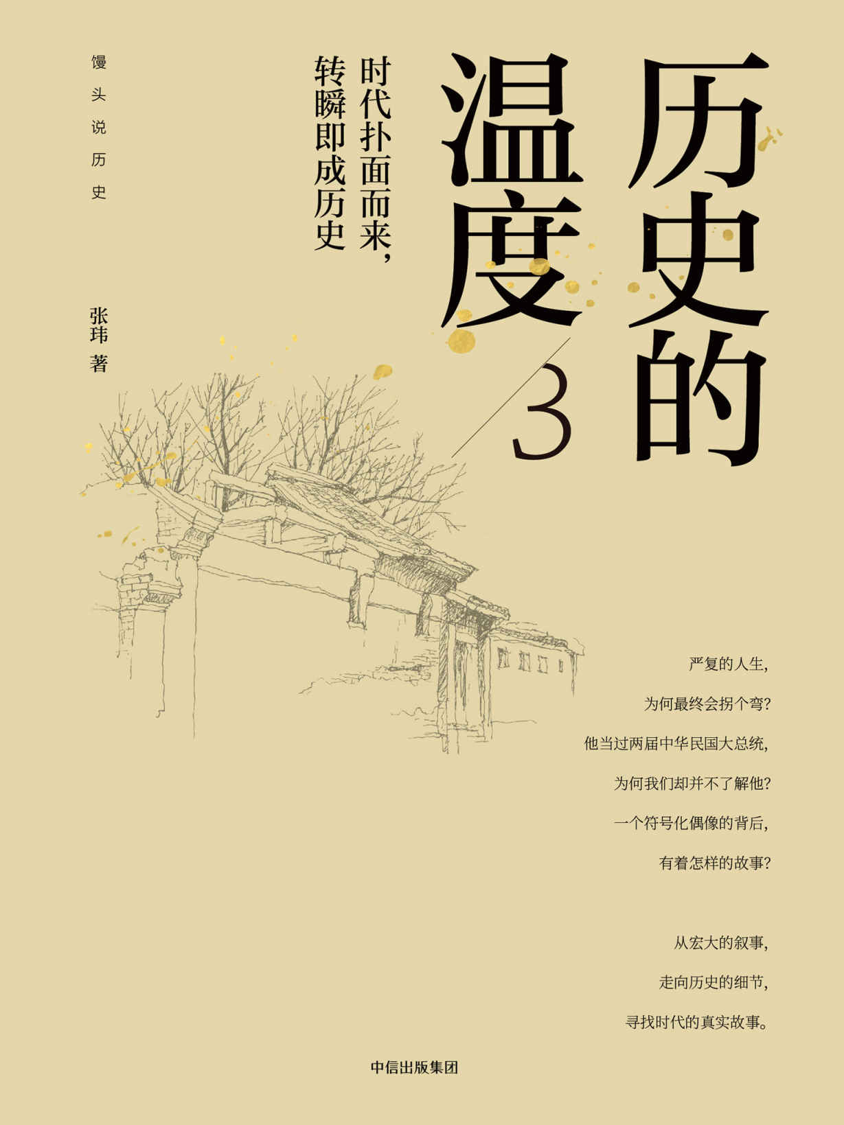 《历史的温度3：时代扑面而来，转瞬即成历史》张玮