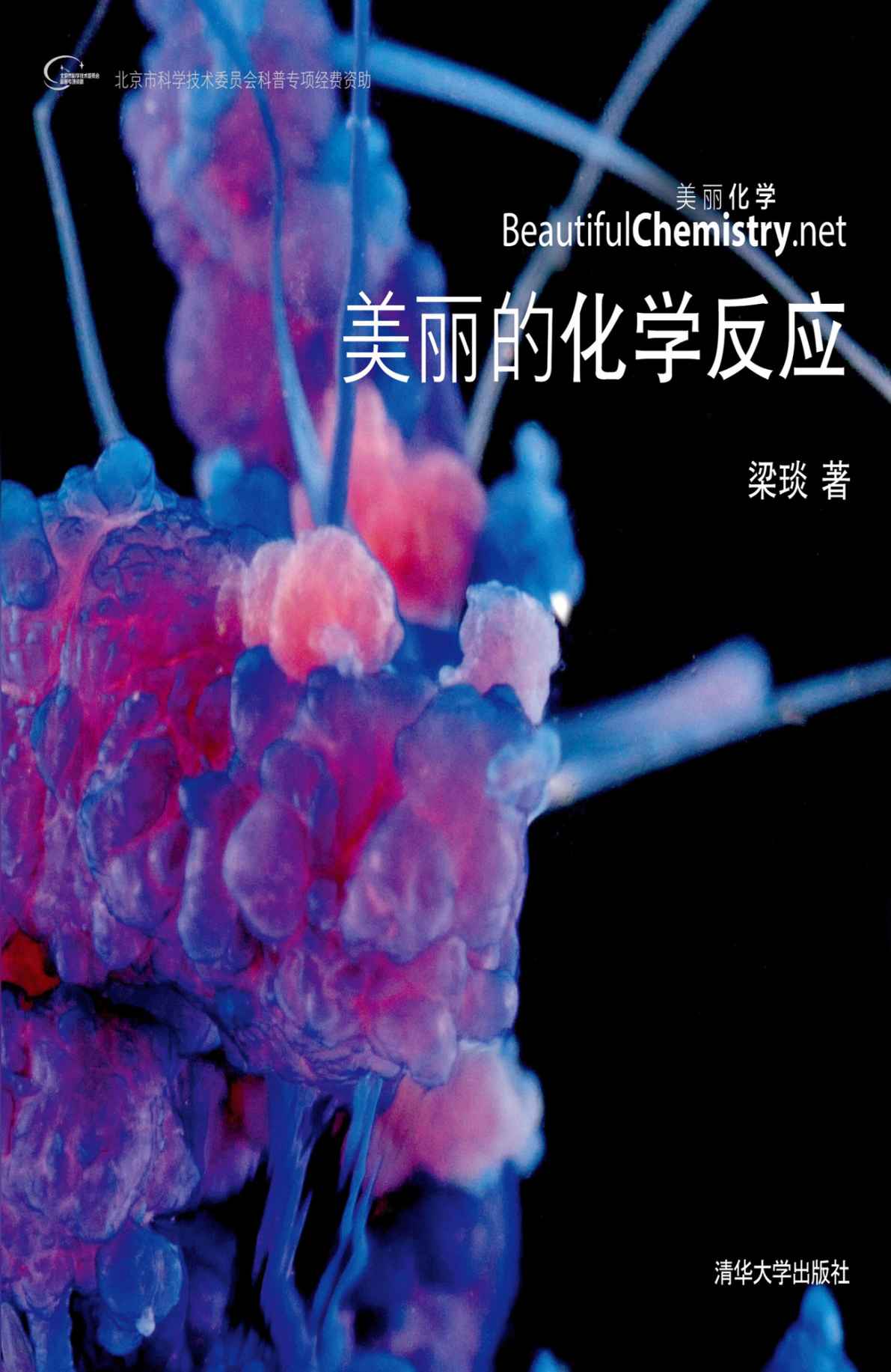 《美丽的化学反应》梁琰